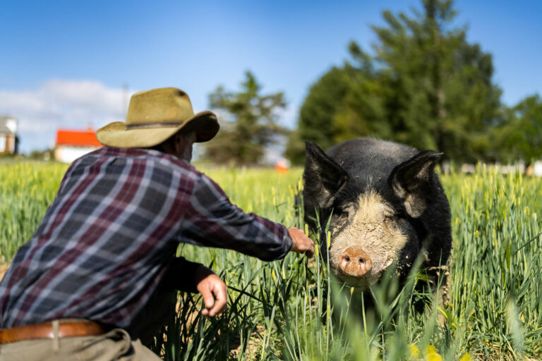 From Farm, to market, to table: exploring sustainable agriculture in the Shenandoah Valley